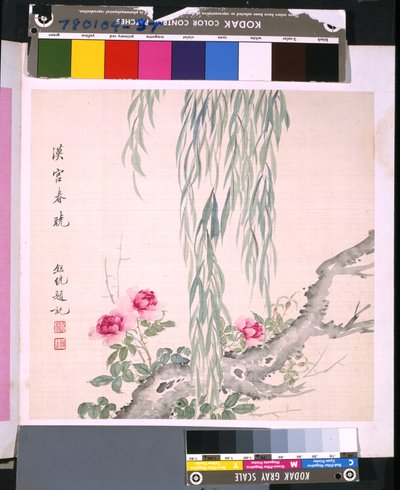  by School Chinese