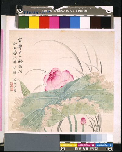  by School Chinese