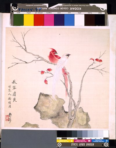  by School Chinese