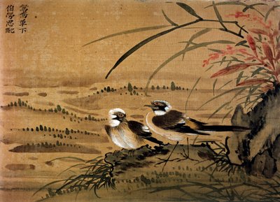 Sanat Çin: Kuşlar. 16. yüzyıldan Li youen kien tarafından ipek boyama. Paris, BN by School Chinese