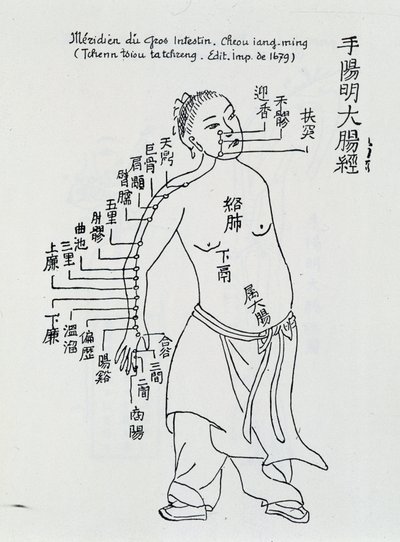 Çin akupunkturu: kalın bağırsak by School Chinese