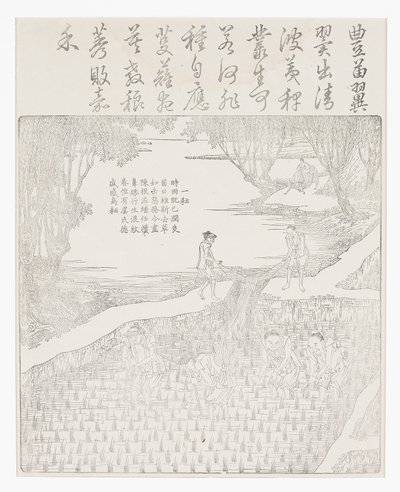 pirinç sulama by School Chinese