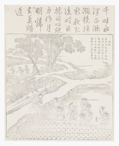 Pirinç ekimi by School Chinese