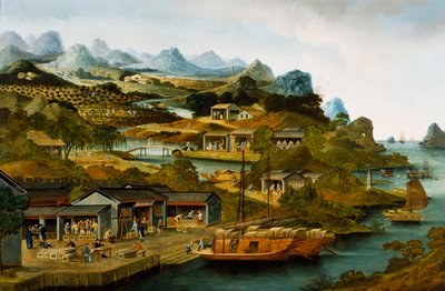  by School Chinese