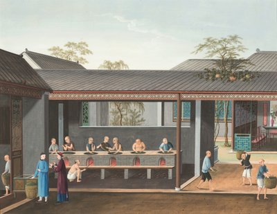  by School Chinese