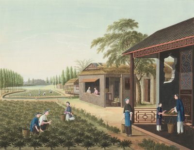 by School Chinese