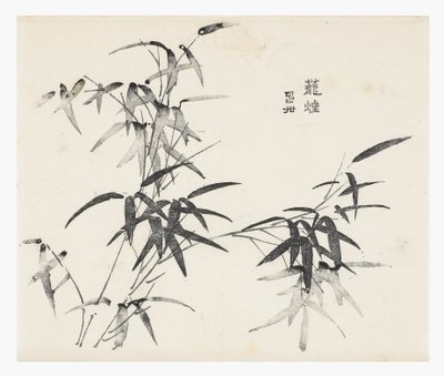 On Bambu Serisi by School Chinese