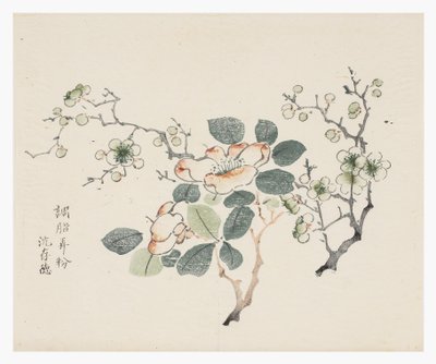 On Bambu Serisi by School Chinese