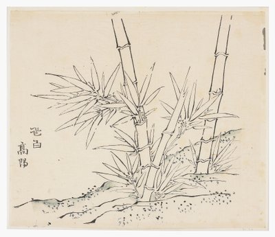 On Bambu Serisi by School Chinese