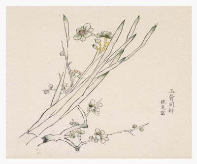 On Bambu Serisi by School Chinese