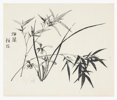 On Bambu Serisi by School Chinese