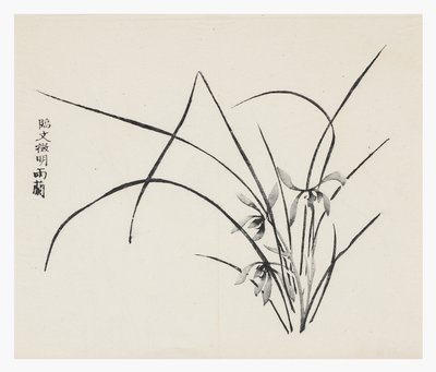 On Bambu Serisi by School Chinese