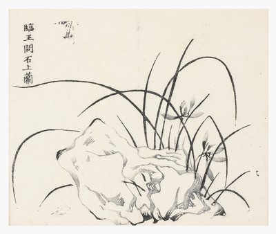On Bambu Serisi by School Chinese