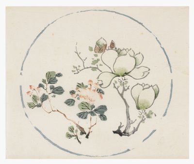 On Bambu Serisi by School Chinese