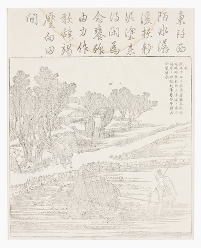 Kuru havalarda çeltik ekimi by School Chinese