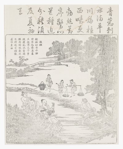 Pirinç fidelerinin nakli by School Chinese