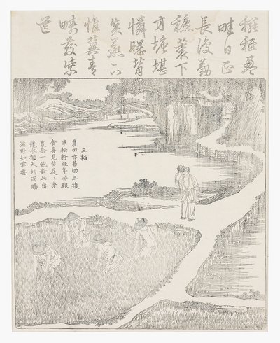 çeltikte çalışmak by School Chinese