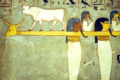  by School Egyptian