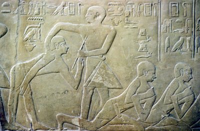 by School Egyptian