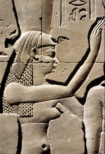  by School Egyptian