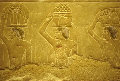 by School Egyptian