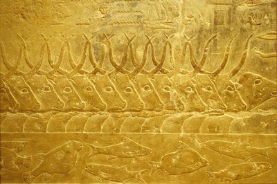  by School Egyptian