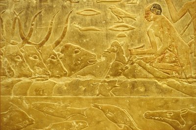  by School Egyptian