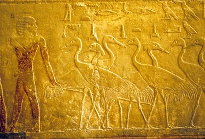  by School Egyptian