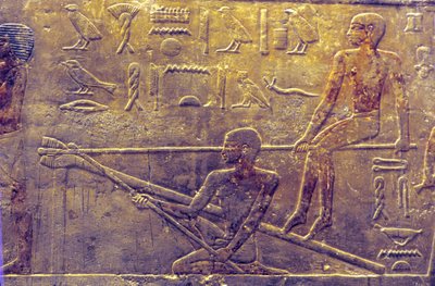  by School Egyptian
