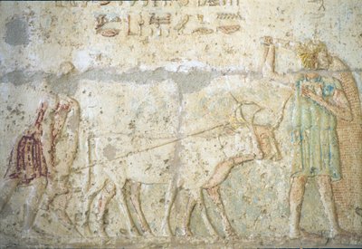  by School Egyptian