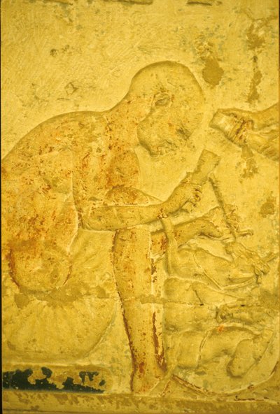  by School Egyptian