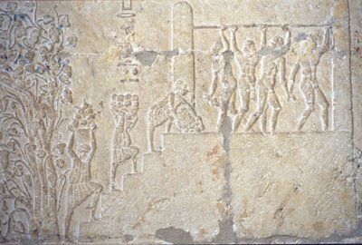 Antik Mısır, Duvar oyma/boyama, Petosiris Mezarı, Tuna el Gebel, MÖ 300, Şarap hasadı, Şarap yapımı, Şarap presi (fotoğraf) by School Egyptian