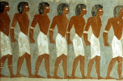  by School Egyptian