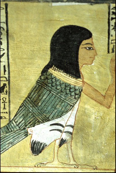  by School Egyptian