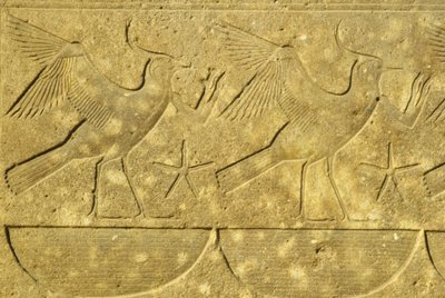  by School Egyptian