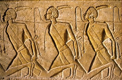  by School Egyptian
