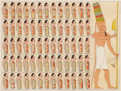  by School Egyptian