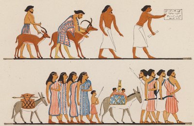  by School Egyptian