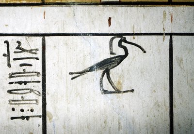  by School Egyptian
