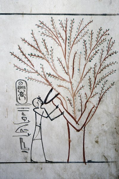 Luxor, Thebes: Krallar Vadisi. Thutmosis#39;in Mezarı (Tuthmosis veya Thutmes) III (-1504 - -1450), Mısır Firavunu. by School Egyptian
