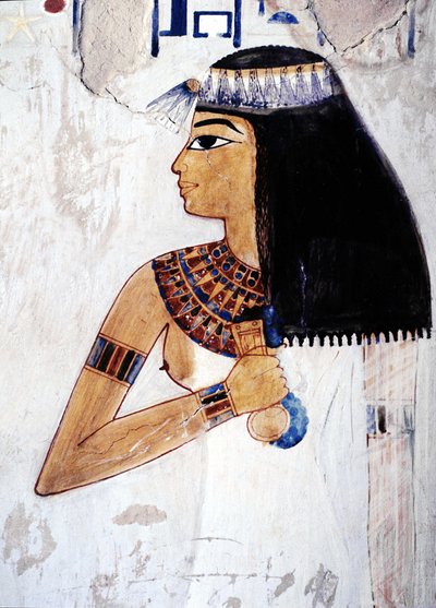  by School Egyptian