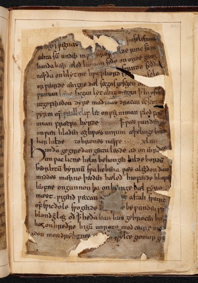 Folyolardan Beowulf