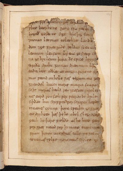 Beowulf#39;un bazen #39;Nowell Kodeksi#39; olarak adlandırılan foliolardan bir sayfası by School English