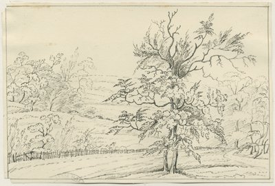 Cannock Chase: kalem ve karakalem, nd [?19th Century] (çizim) by School English