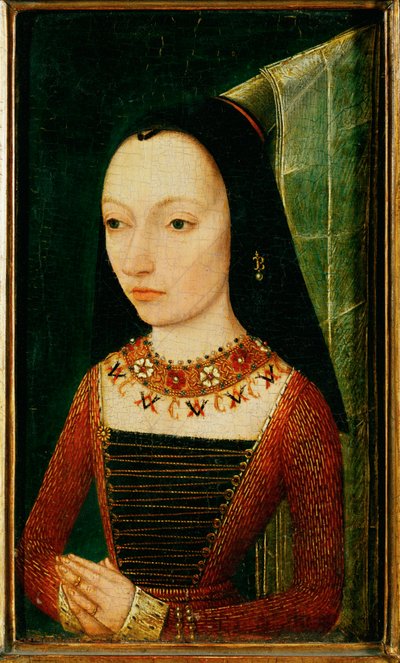  by School Flemish