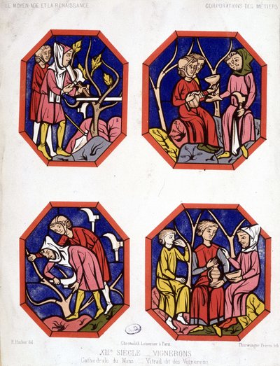 Corporation des vignerons - Cathedrale du Mans şarap üreticilerinin vitray by School French