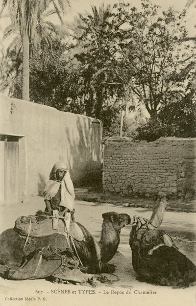 Le Repos du Chamelier, c.1890-1914 (s / b fotoğraf) by School French