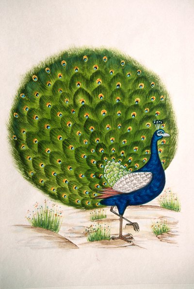  by School Indian