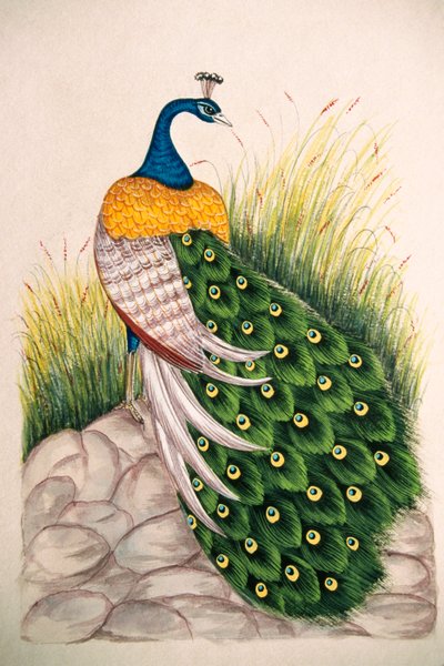  by School Indian