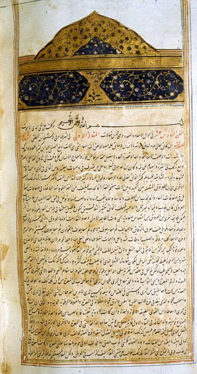 Avicenna'nın The Canon of Medicine (al-Qānūn fī aṭ-Ṭibb) adlı kitabından bir sayfa by School Iranian